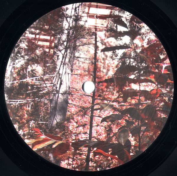 Narkopop | Mint (M) Mint (M)