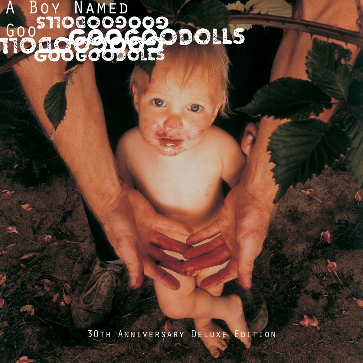 A Boy Named Goo (30th Anniversary Deluxe Edition) (2xCD) | Mint (M) Mint (M)
