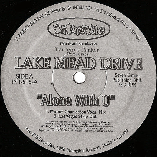 Alone With U (VINYL) | Near Mint (NM) Generic