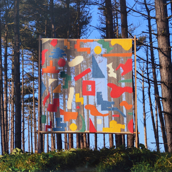 An Ever Changing View | Mint (M) Mint (M)- X Vinyl Record