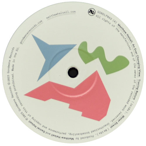 An Ever Changing View | Mint (M) Mint (M)- X Vinyl Record