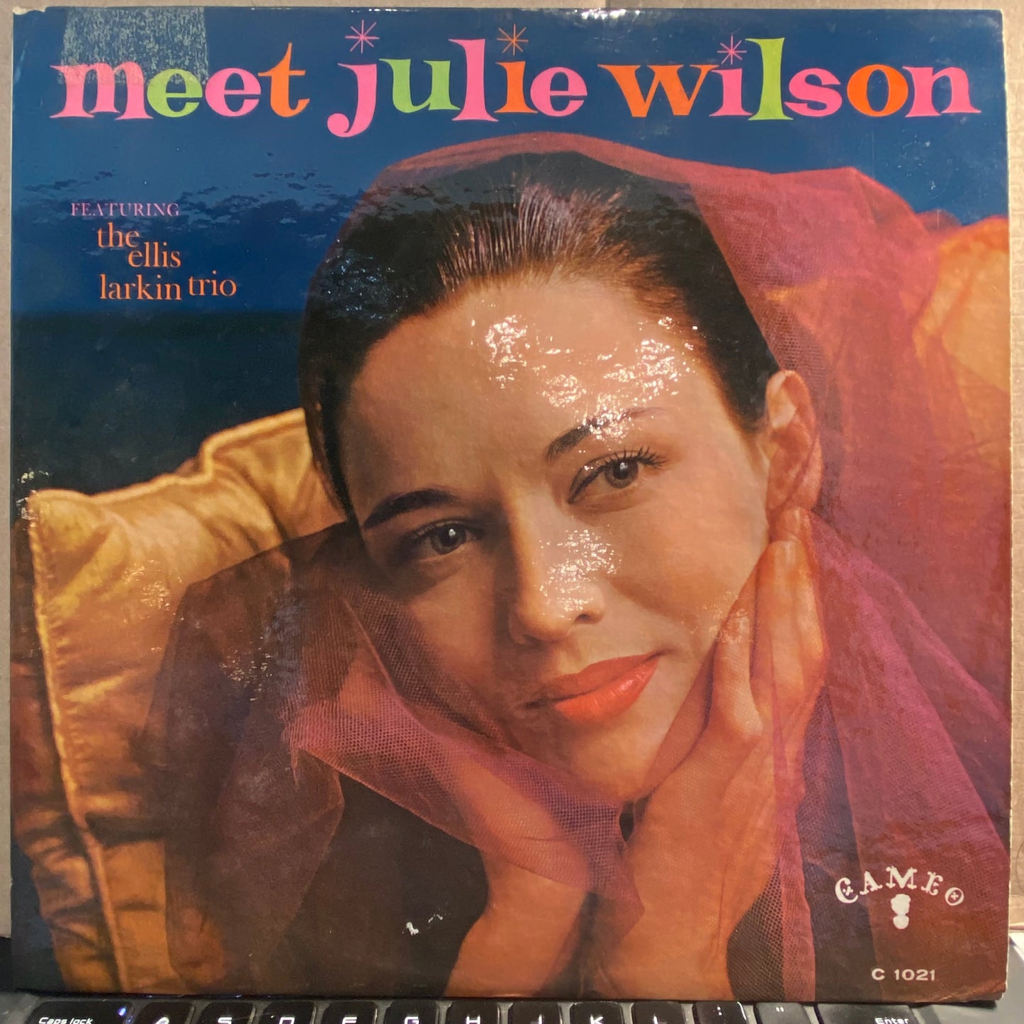 Meet Julie Wilson *PROMO* | Very Good (VG) Very Good Plus (VG+)- X Vinyl Record