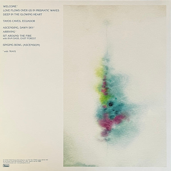 Music For Psychedelic Therapy | Mint (M) Mint (M)