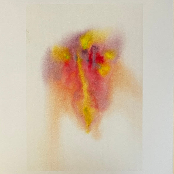 Music For Psychedelic Therapy | Mint (M) Mint (M)