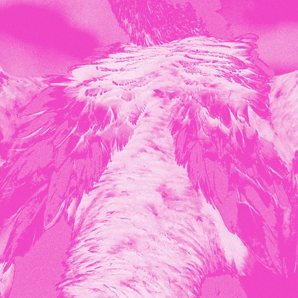 A field guide to phantasmic birds |