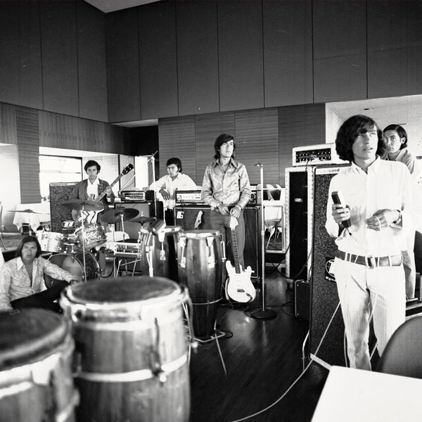 El Sonido Niebla De Los Texao (LP) | Mint (M) Mint (M)