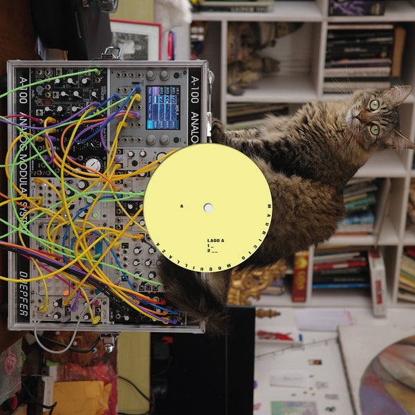 Mauricio Moquillaza (LP) | Mint (M) Mint (M)- X Vinyl Record