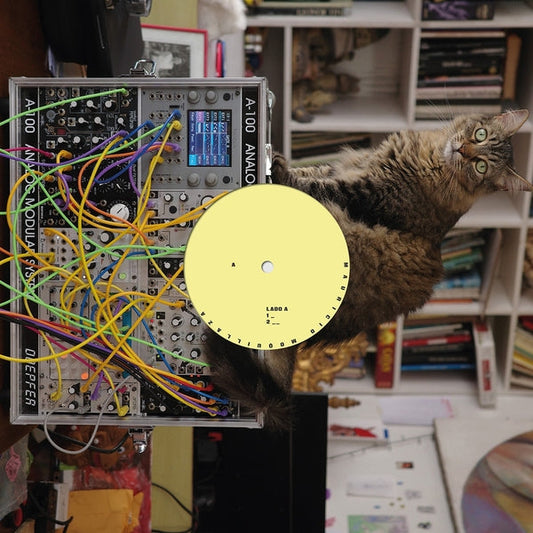 Mauricio Moquillaza (LP) | Mint (M) Mint (M)- X Vinyl Record