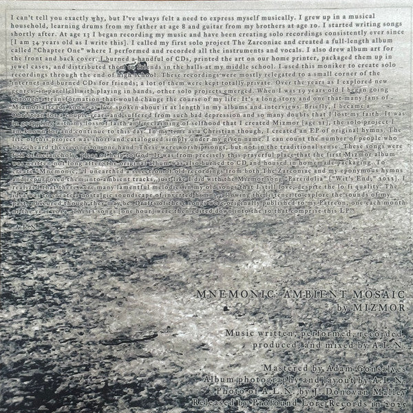 Mnemonic: Ambient Mosaic (VINYL) | Mint (M) Mint (M)