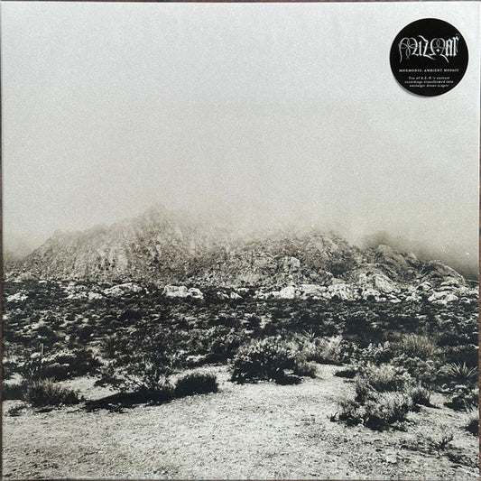 Mnemonic: Ambient Mosaic (VINYL) | Mint (M) Mint (M)