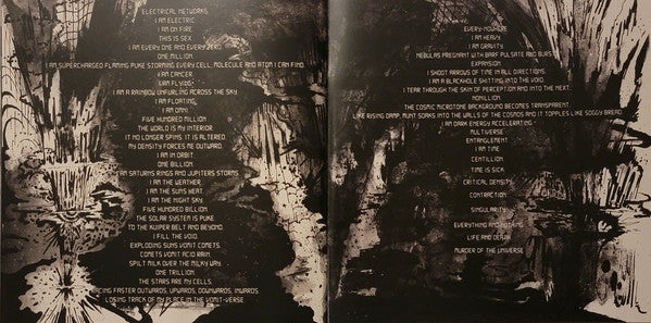 Murder Of The Universe (COLOR VINYL) | Near Mint (NM or M-) Near Mint (NM or M-)