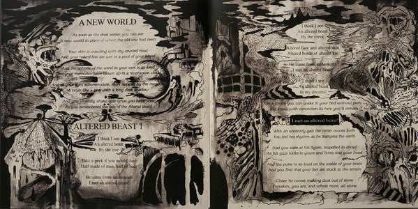 Murder Of The Universe (COLOR VINYL) | Near Mint (NM or M-) Near Mint (NM or M-)