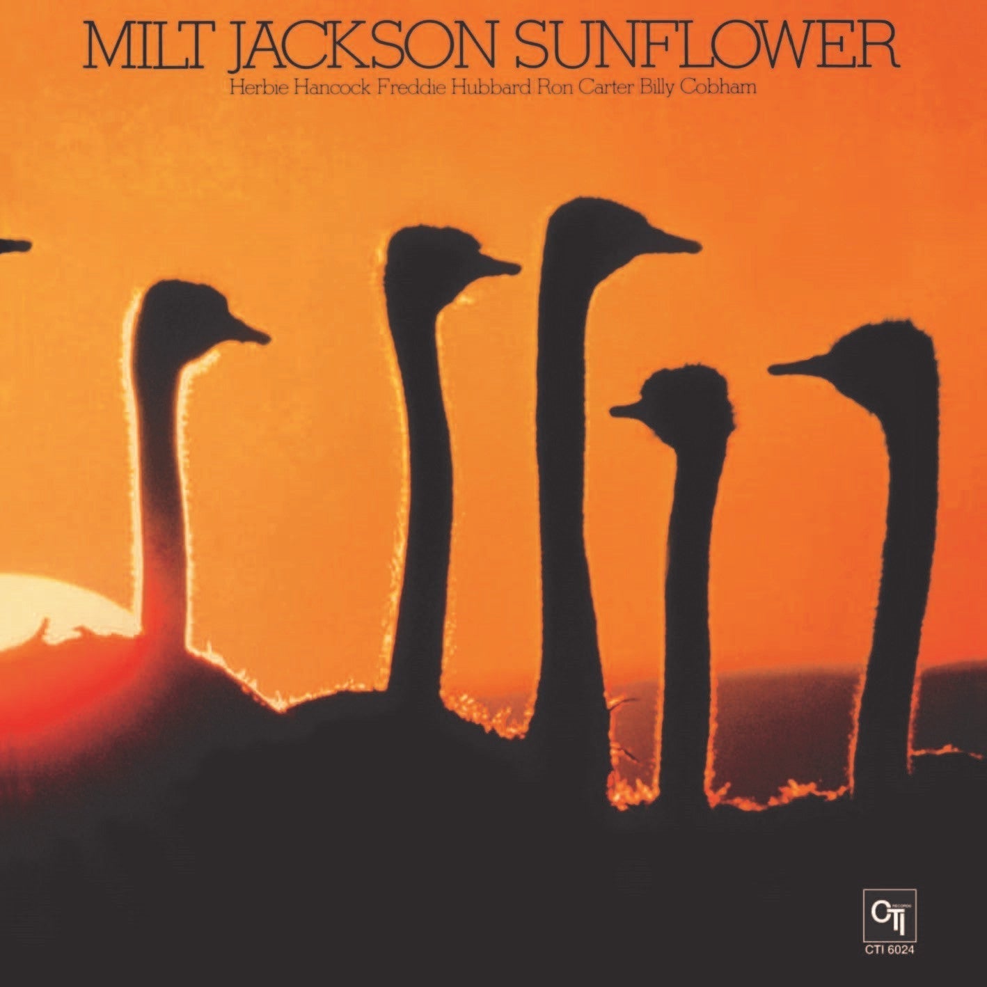 Sunflower |- X Vinyl Record