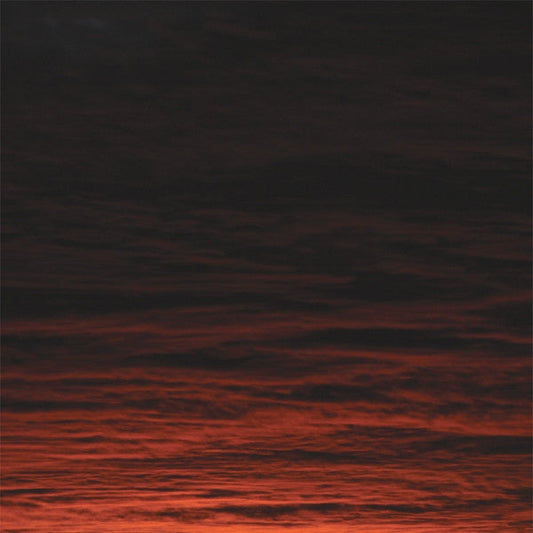 A Path Less Travelled | Mint (M) Mint (M)