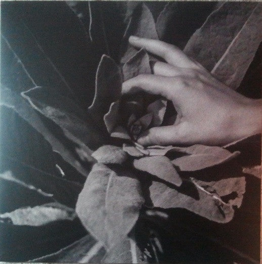 Heide | Mint (M) Mint (M)