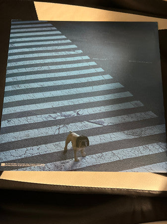 Alone In A Crowd (TRANSLUCENT RED VINYL) | Mint (M) Mint (M)