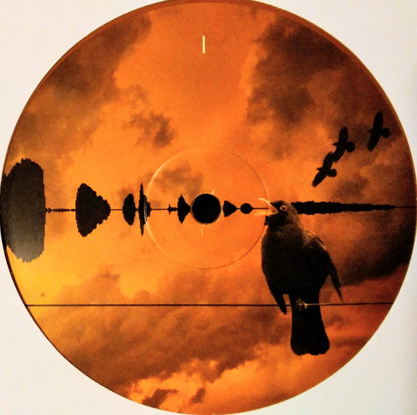 Aerial: 2018 Remaster (IEX: GOLDY LOCKS VINYL) | Mint (M) Mint (M)