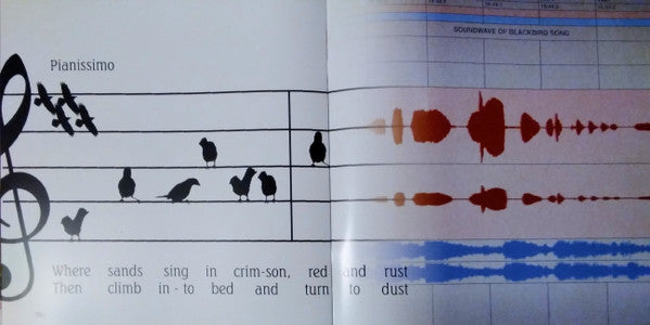 Aerial: 2018 Remaster (IEX: GOLDY LOCKS VINYL) | Mint (M) Mint (M)