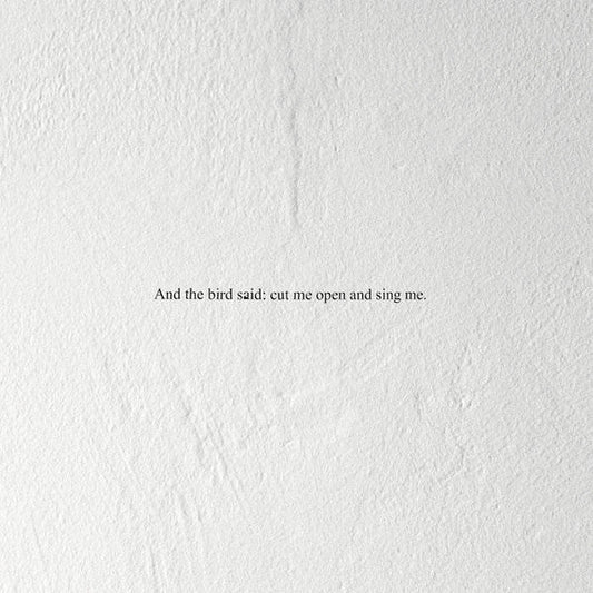 And the Bird Said: Cut Me Open and Sing Me | Mint (M) Mint (M)- X Vinyl Record