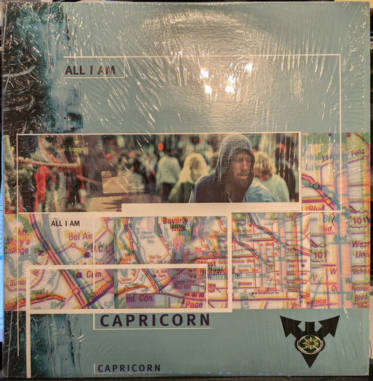 All I Am (Remixes) | Near Mint (NM) Near Mint (NM)