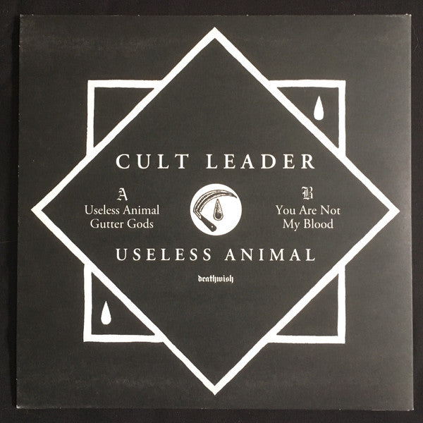 Useless Animal (7" VINYL) *TRANSPARENT BLUE* | Mint (M) Mint (M)