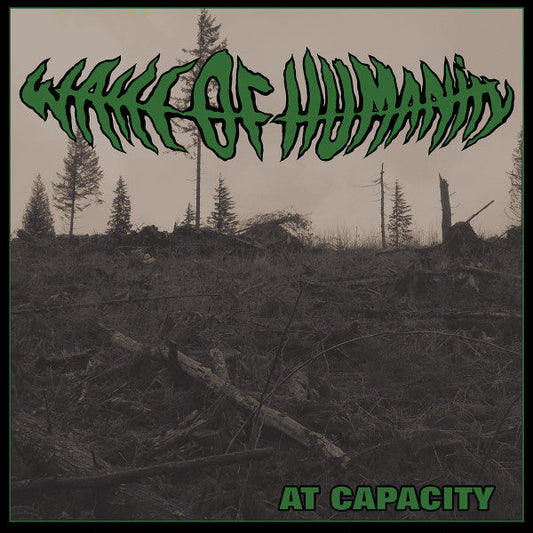 At Capacity (TRANSPARENT GREEN MARBLE VINYL 7") | Mint (M) Mint (M)
