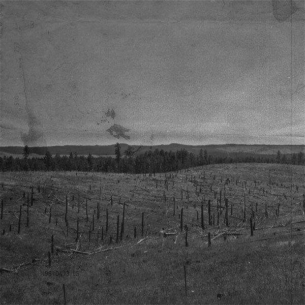 Hides (WHITE VINYL 7") | Mint (M) Mint (M)