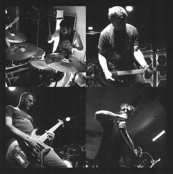 Useless Animal (7" VINYL) *TRANSPARENT GOLD* | Mint (M) Mint (M)