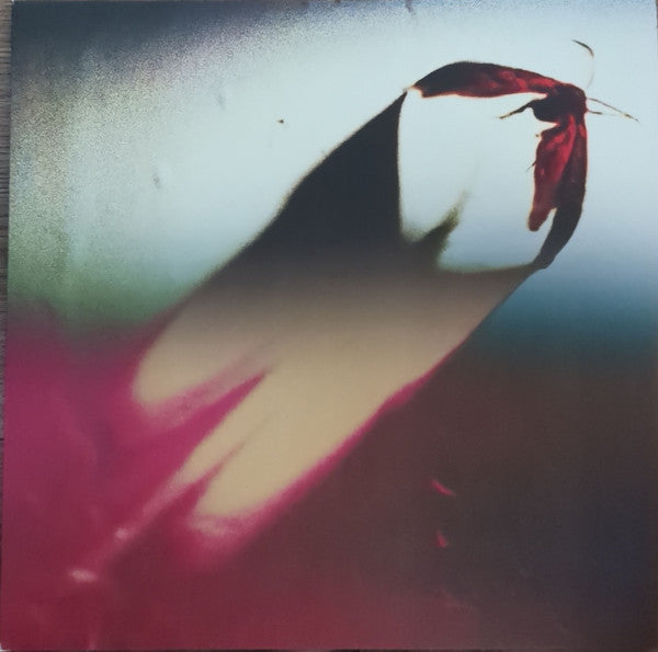 Are We All Angels (COLOR VINYL) | Mint (M) Mint (M)