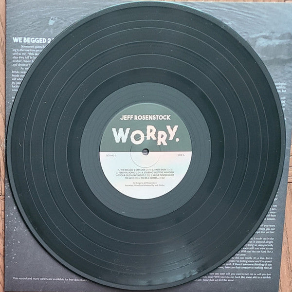 Worry. *DINGED* (VINYL) | Mint (M) Excellent (EX)