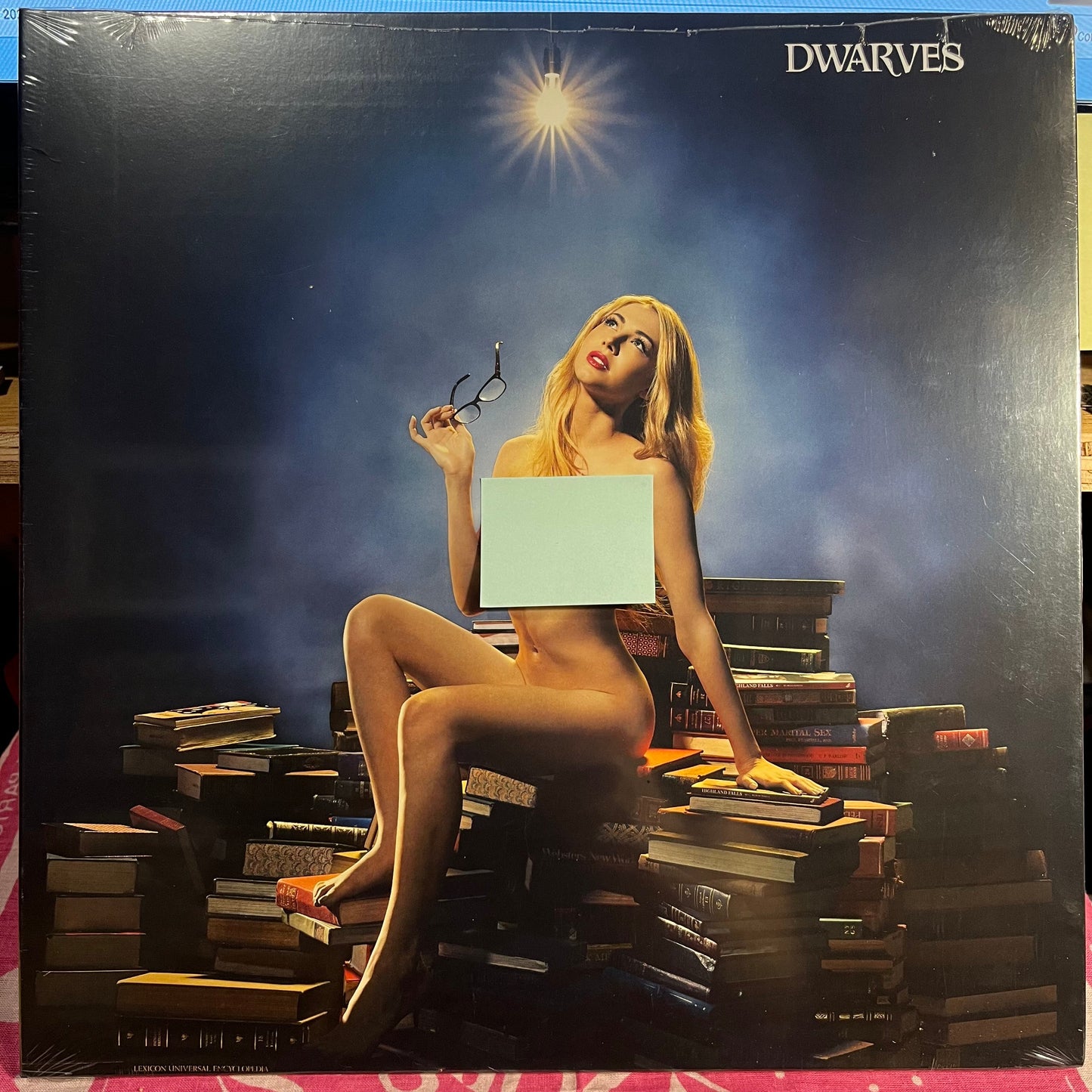 The Dwarves Concept Album |