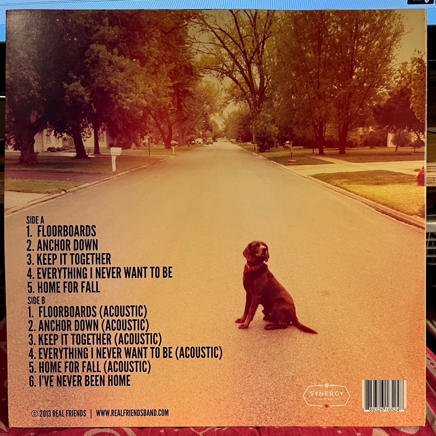 Everyone That Dragged You Here *WHITE* | Near Mint (NM) Near Mint (NM)