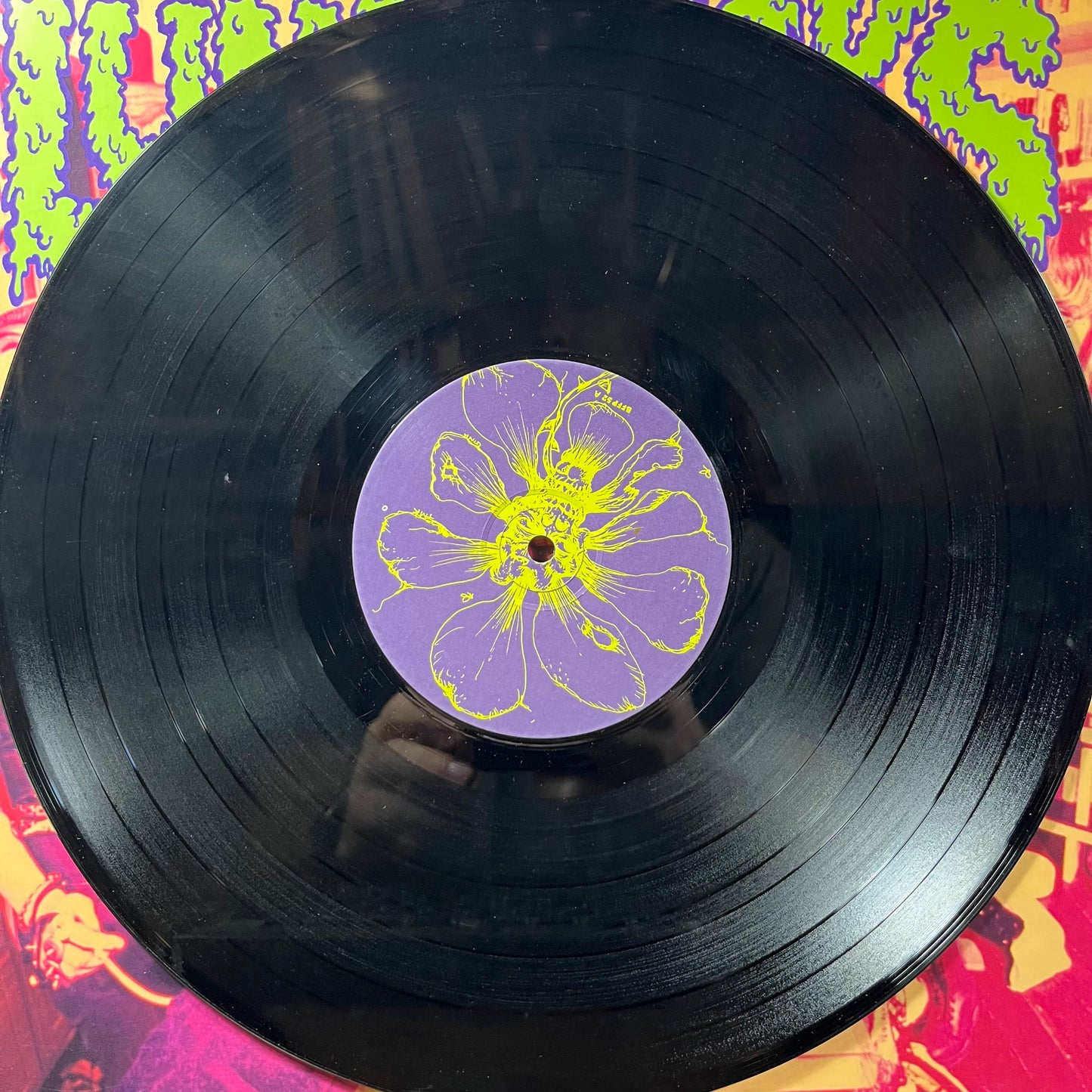 Babysitters On Acid (VINYL) | Very Good (VG) Very Good Plus Plus (VG++)