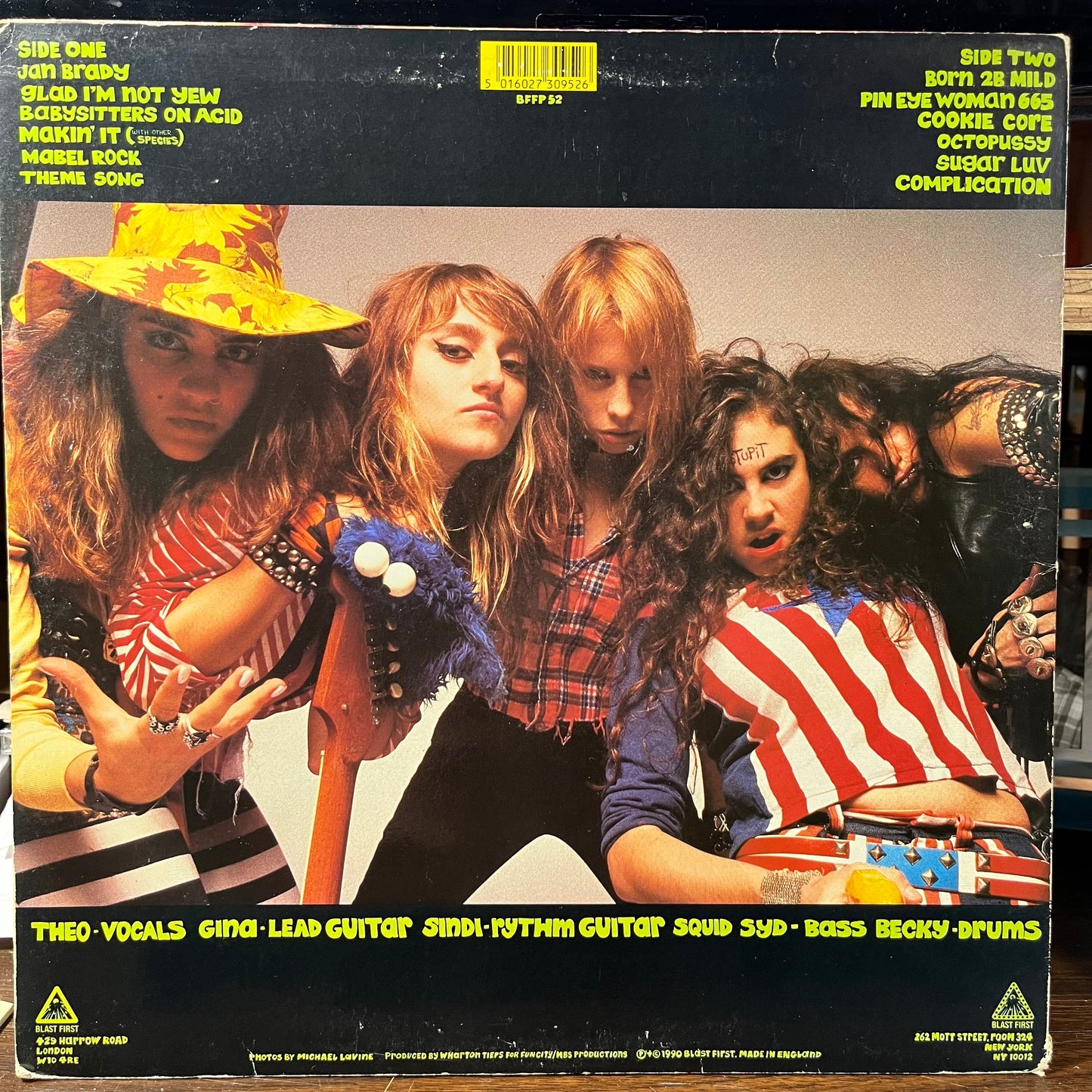 Babysitters On Acid (VINYL) | Very Good (VG) Very Good Plus Plus (VG++)