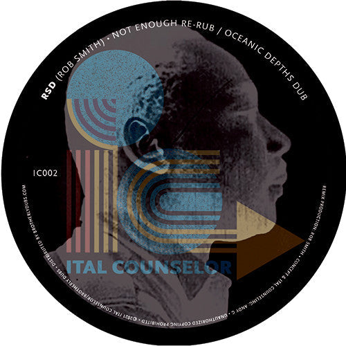 Not Enough (VINYL) | Mint (M) Generic