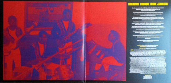 100% Dynamite! (2xVINYL) | Mint (M) Mint (M)