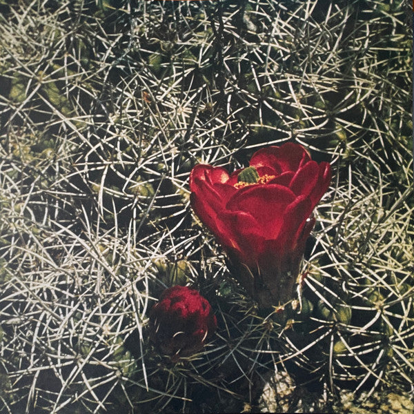 Eagles | Mint (M) Mint (M)