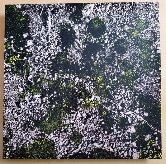 Infest The Rats Nest (Live At Red Rocks 2022) | Mint (M) Mint (M)