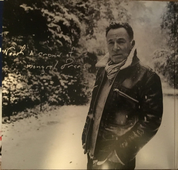 Letter To You (2xVINYL) | Mint (M) Mint (M)