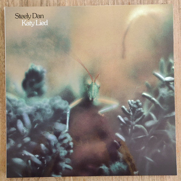 Katy Lied (AARP VINYL BOX SET) | Mint (M) Mint (M)- X Vinyl Record