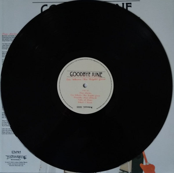 See Where The Night Goes | Mint (M) Mint (M)- X Vinyl Record