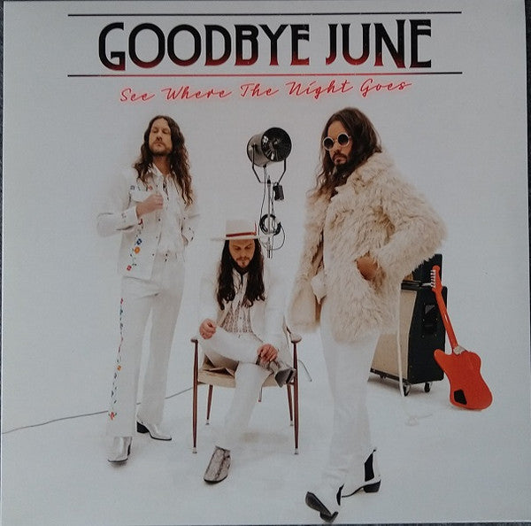 See Where The Night Goes | Mint (M) Mint (M)- X Vinyl Record