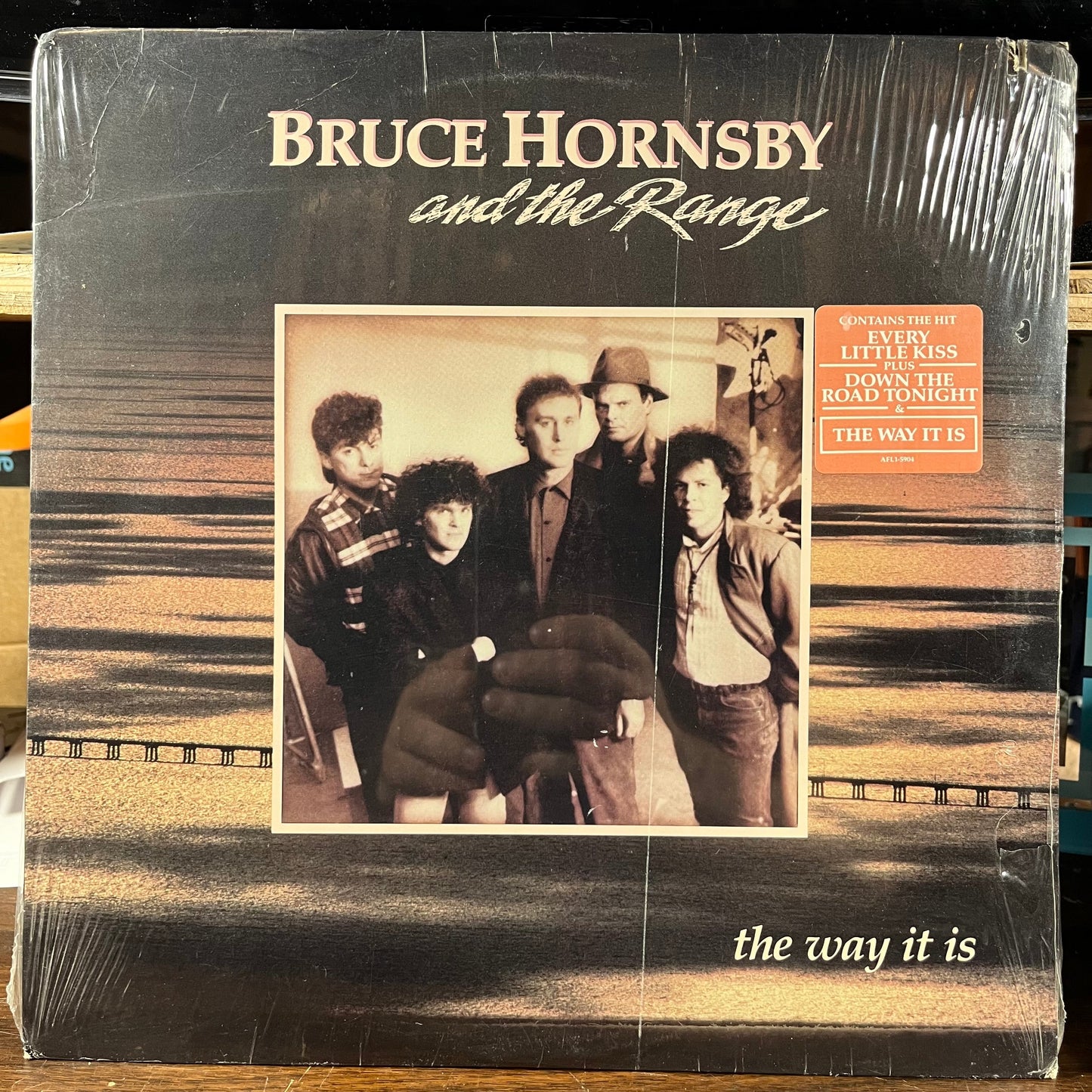 The Way It Is (VINYL) | Mint (M) Excellent (EX)- X Vinyl Record