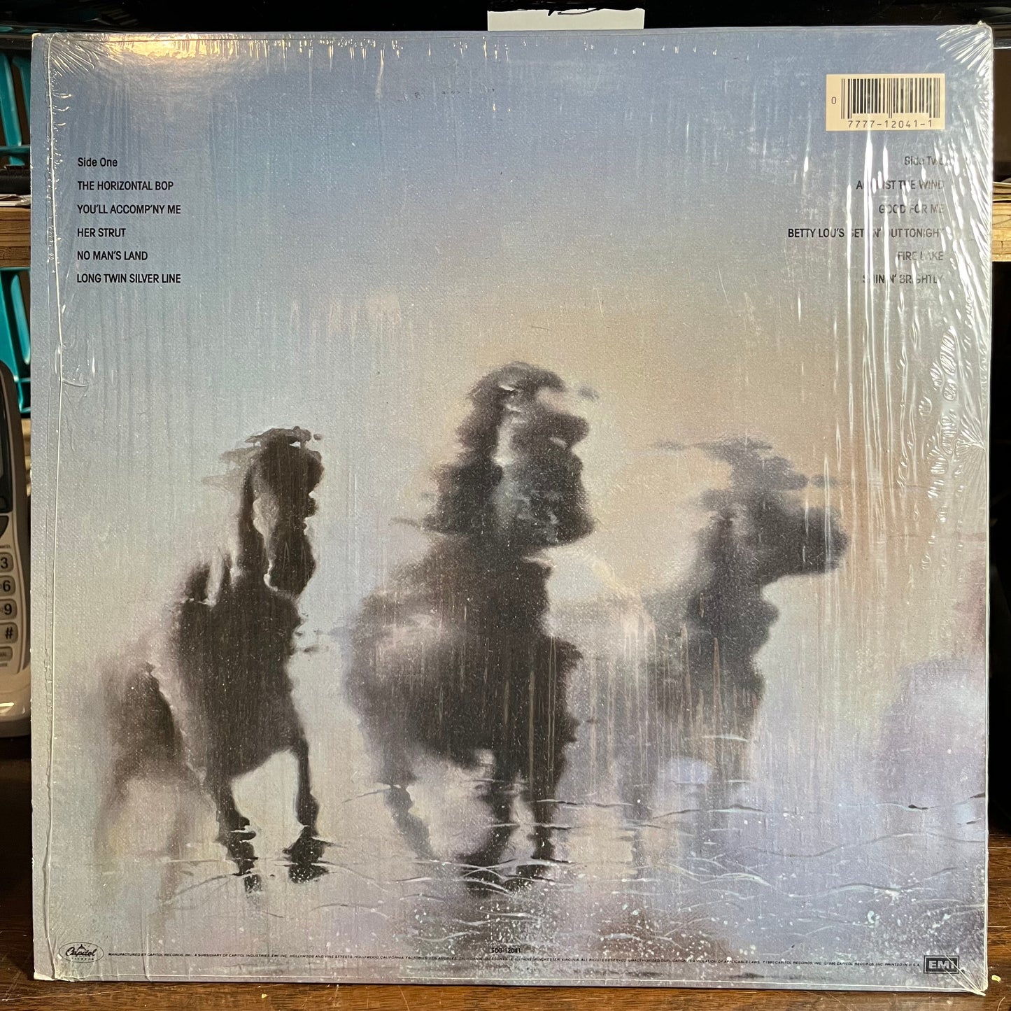 Against The Wind (VINYL) | Excellent (EX) Near Mint (NM)