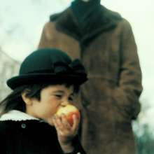 A Sea Of Trees (CD) | Mint (M) Mint (M)