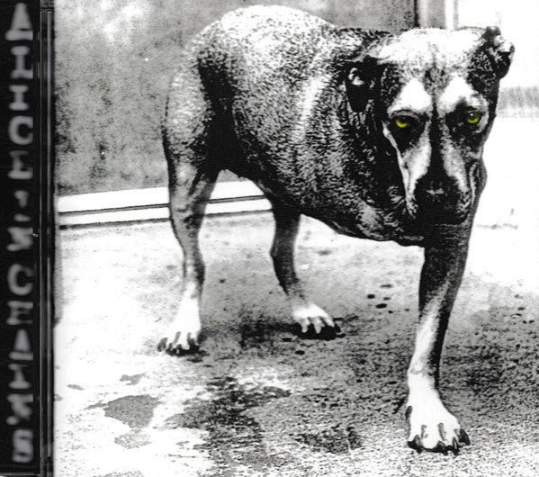 Alice In Chains | Near Mint (NM) Near Mint (NM)