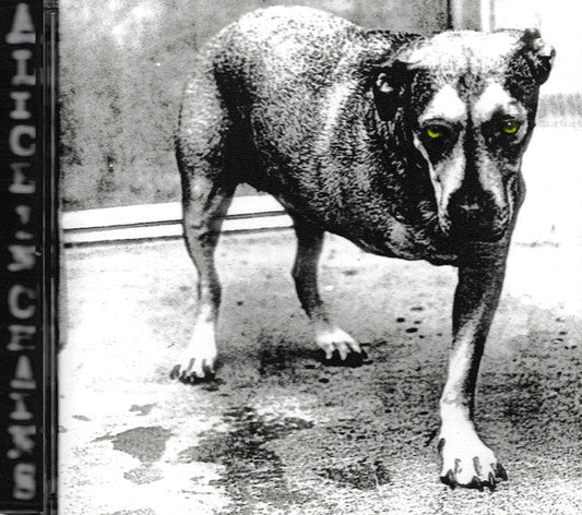 Alice In Chains | Near Mint (NM) Near Mint (NM)