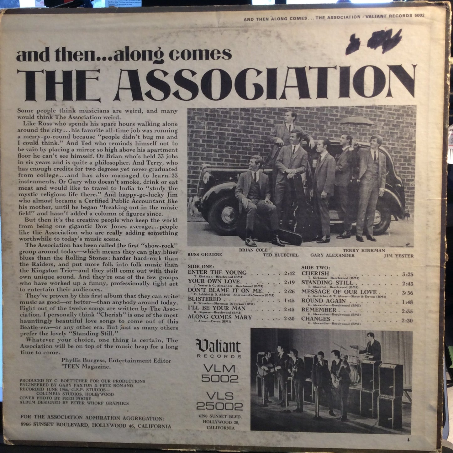 And Then...Along Comes The Association (VINYL) | Very Good Plus (VG+) Very Good (VG)- X Vinyl Record