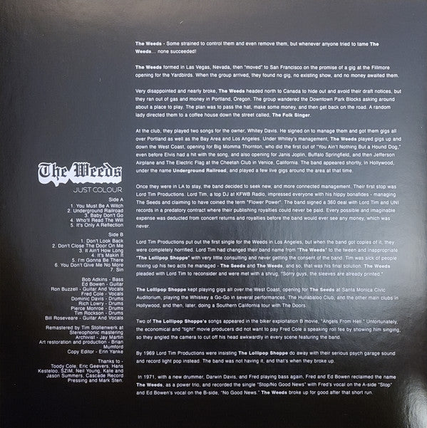 Just Colour | Mint (M) Mint (M)