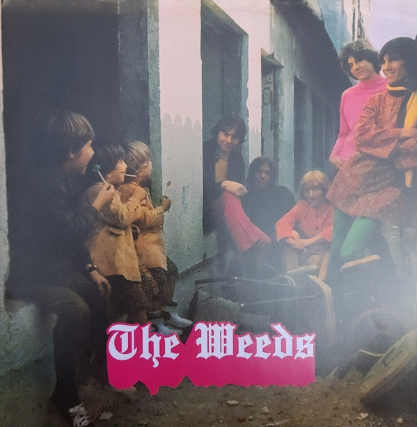 Just Colour | Mint (M) Mint (M)